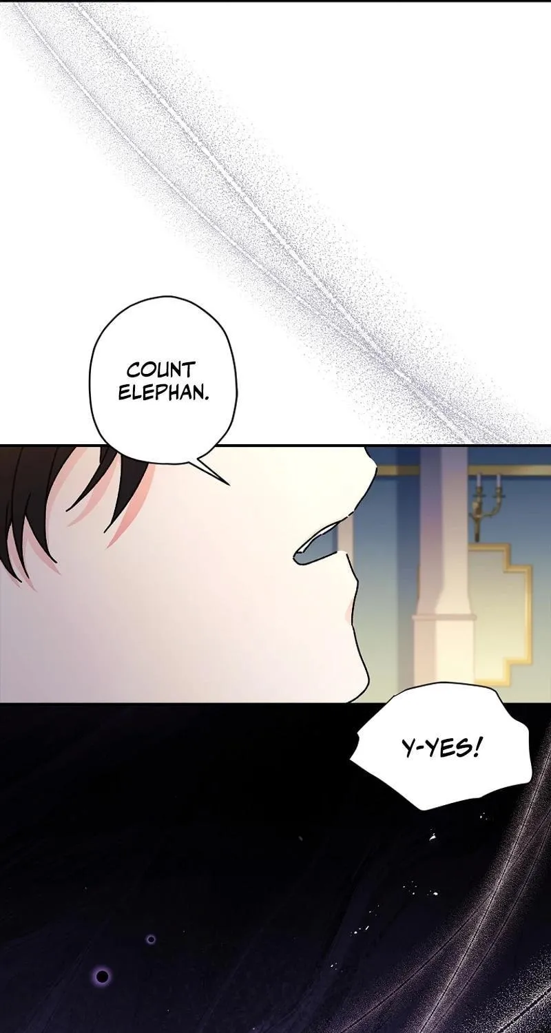 The Male Lead