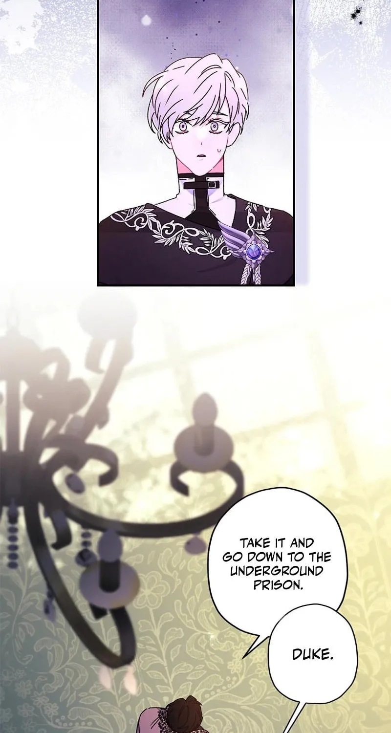 The Male Lead