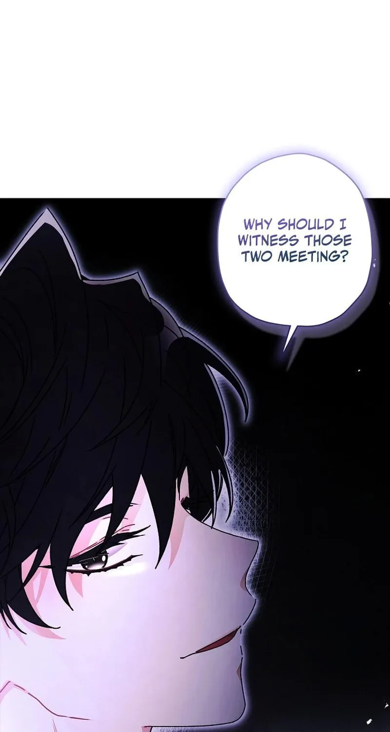 The Male Lead
