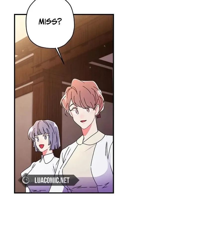 The Male Lead
