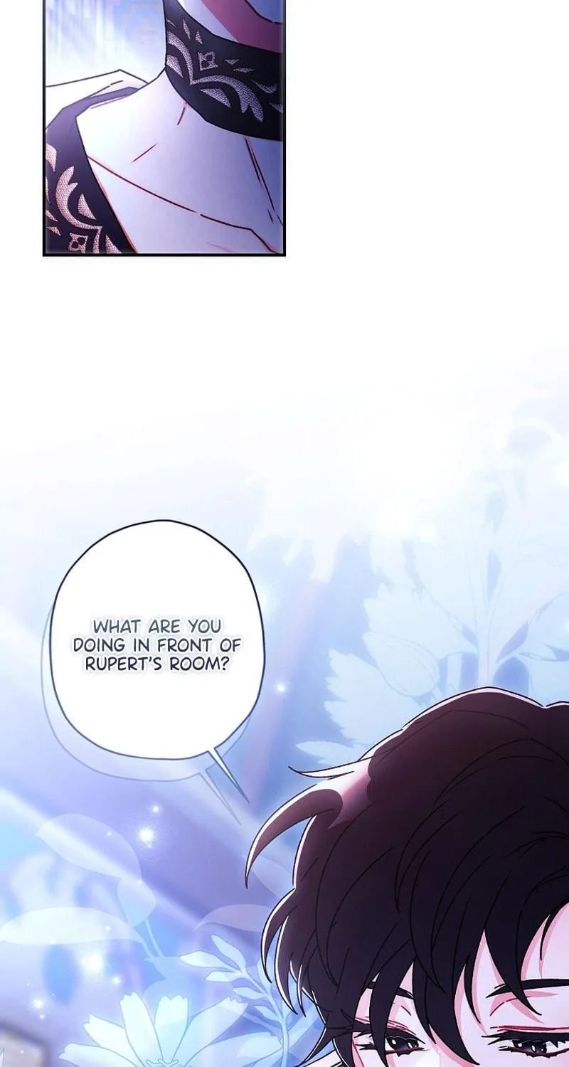 The Male Lead