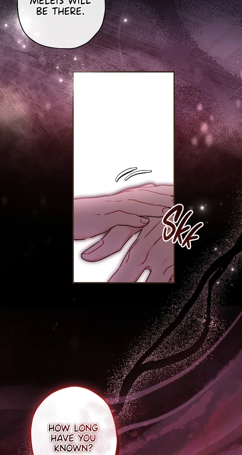 The Male Lead