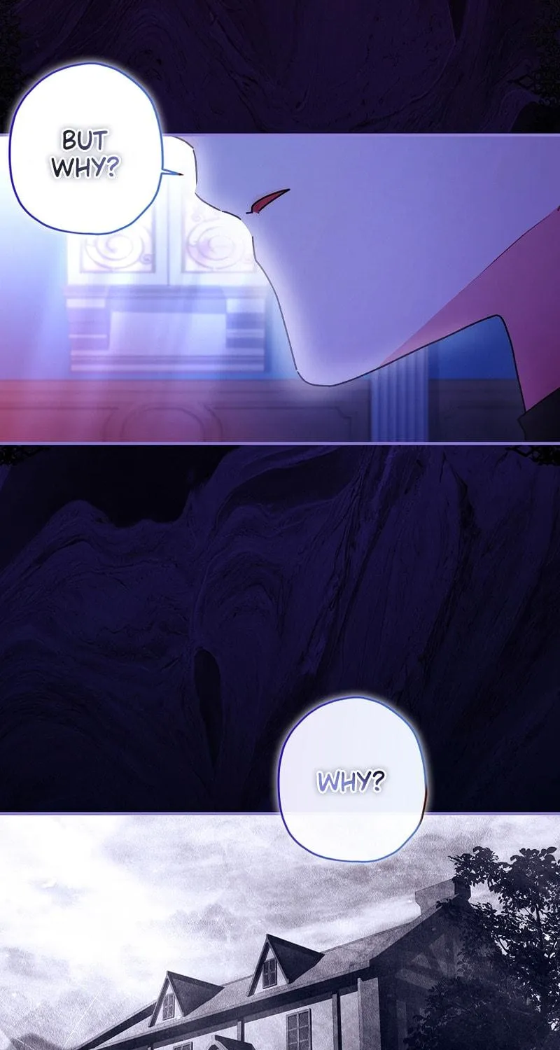 The Male Lead