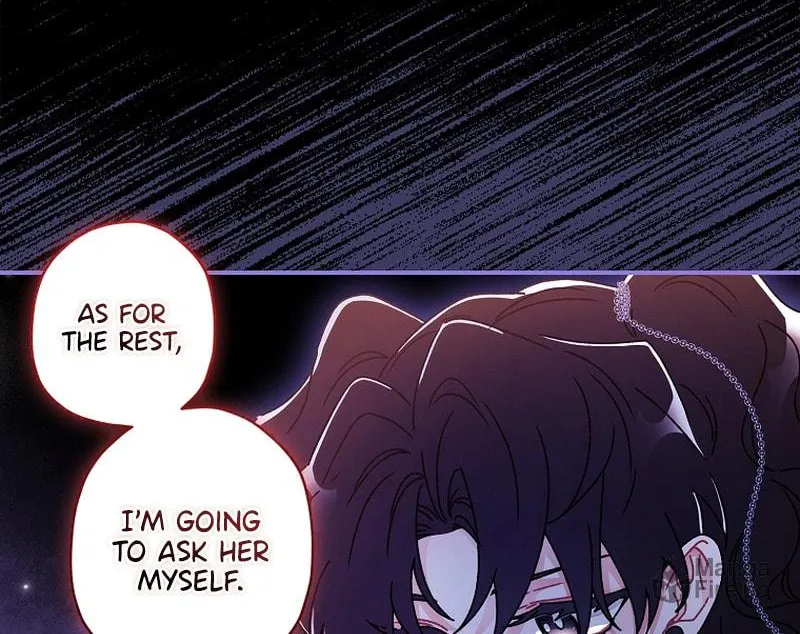 The Male Lead