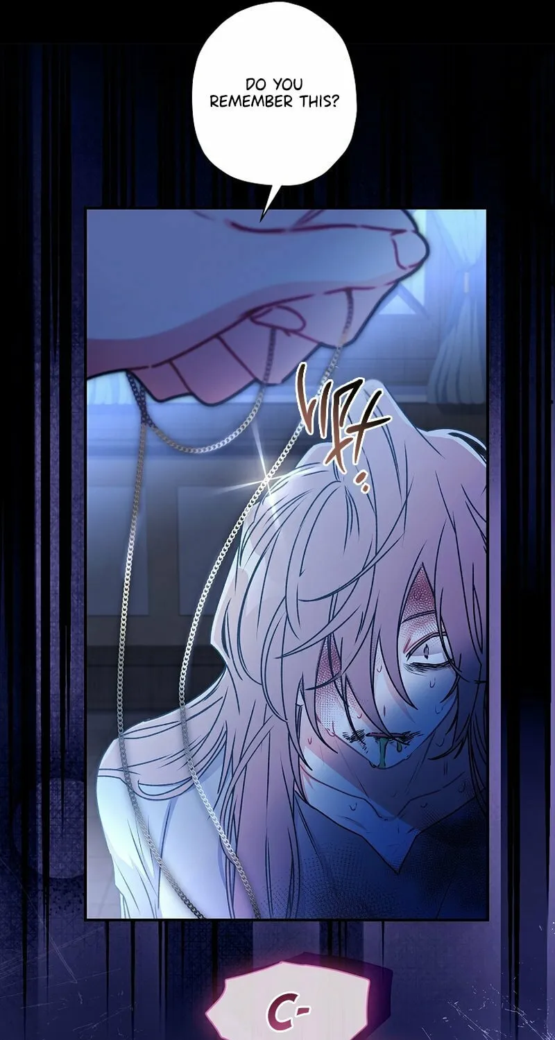 The Male Lead