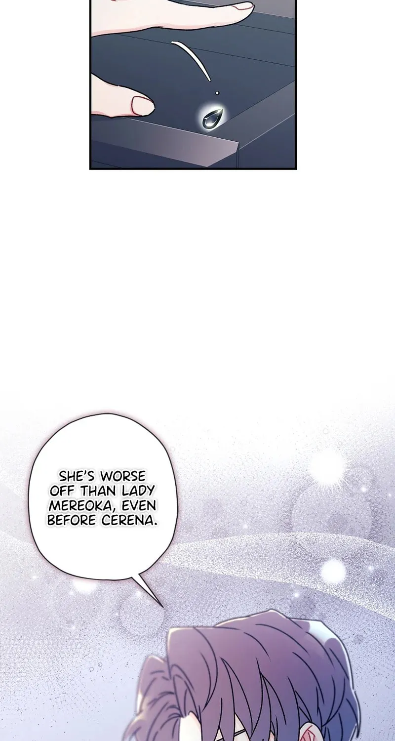The Male Lead