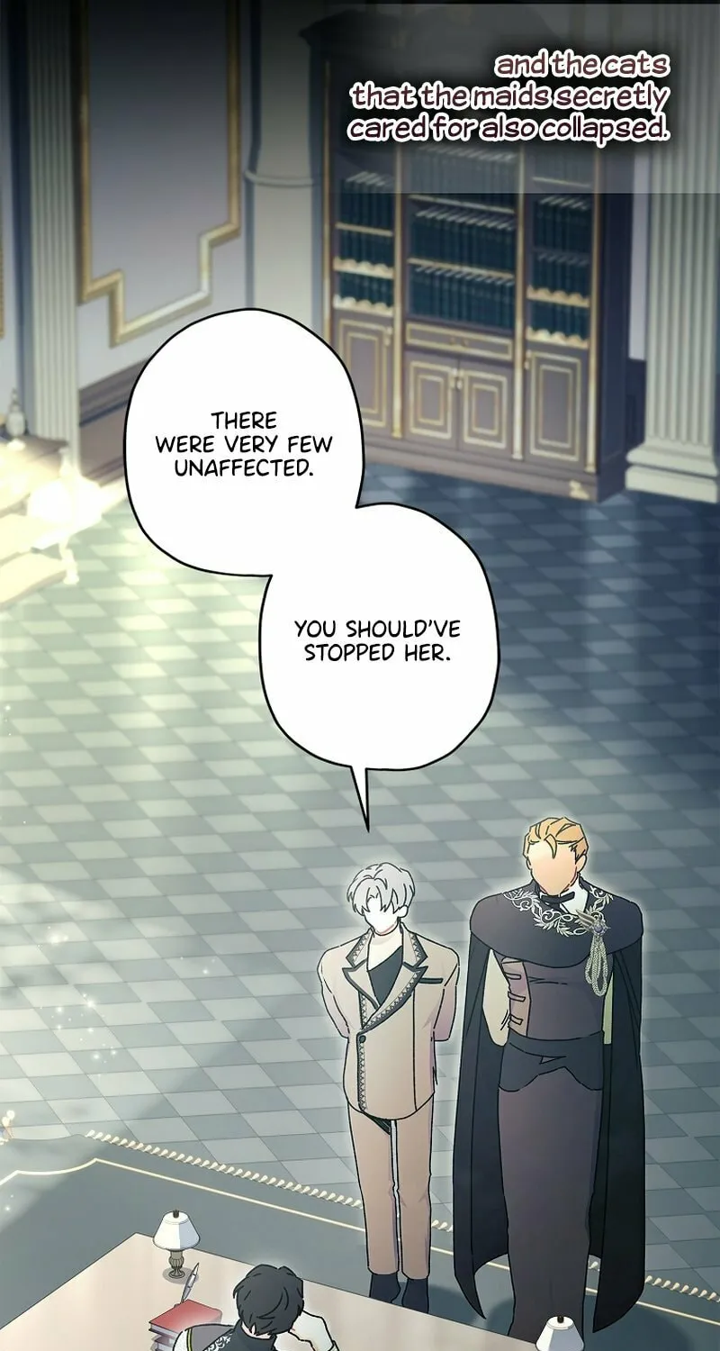The Male Lead