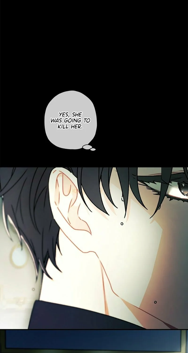 The Male Lead