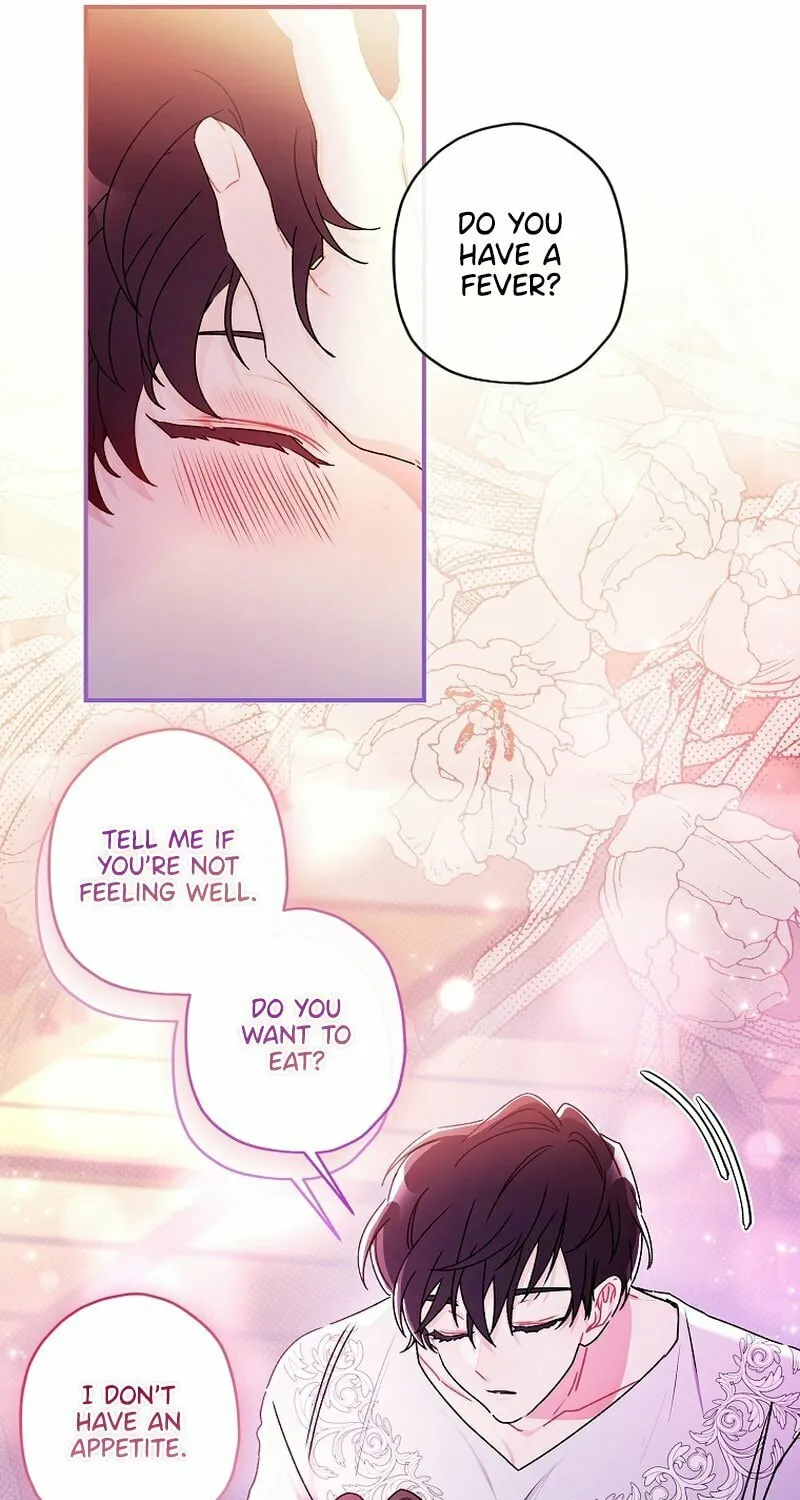 The Male Lead