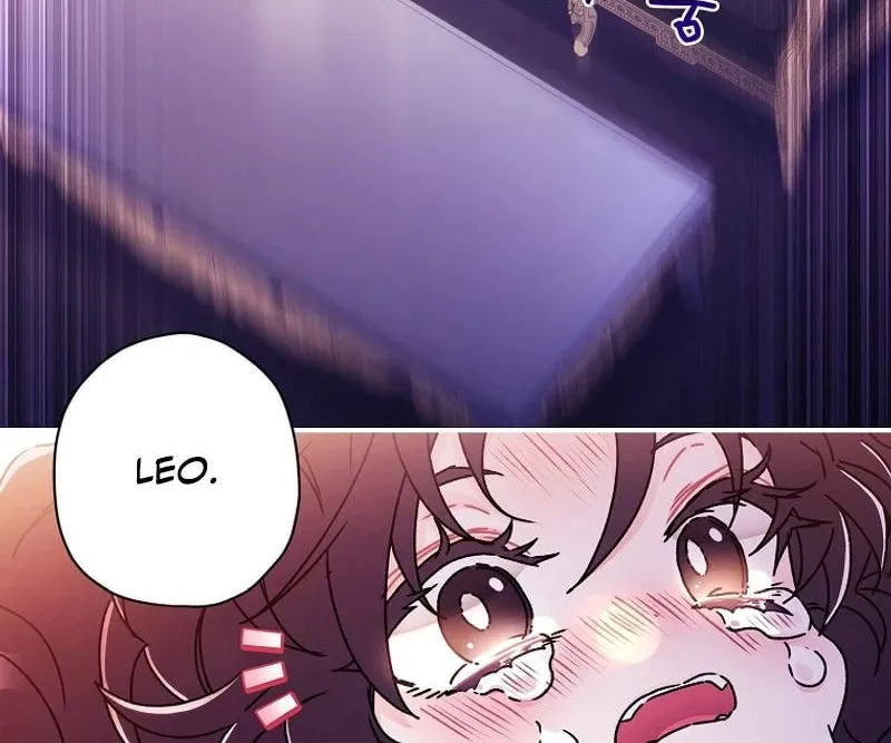 The Male Lead