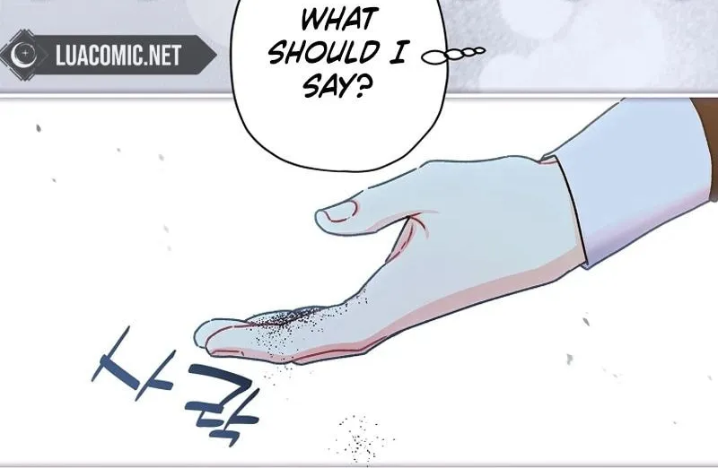 The Male Lead