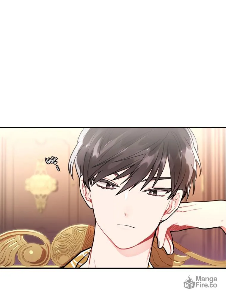 The Male Lead