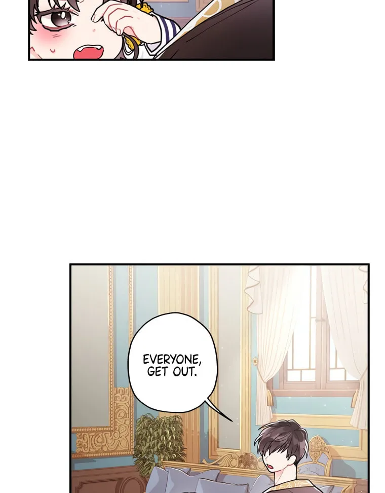 The Male Lead