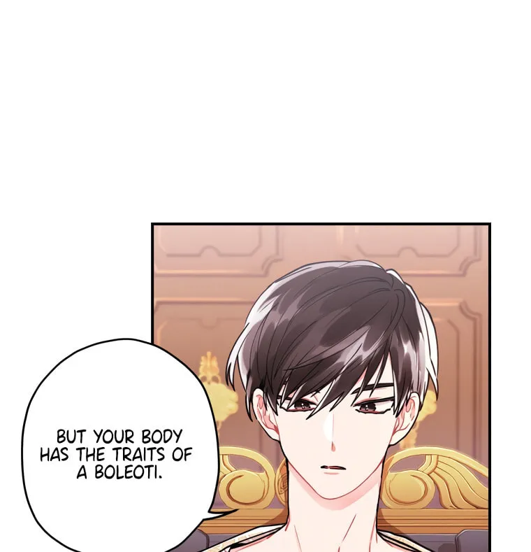 The Male Lead