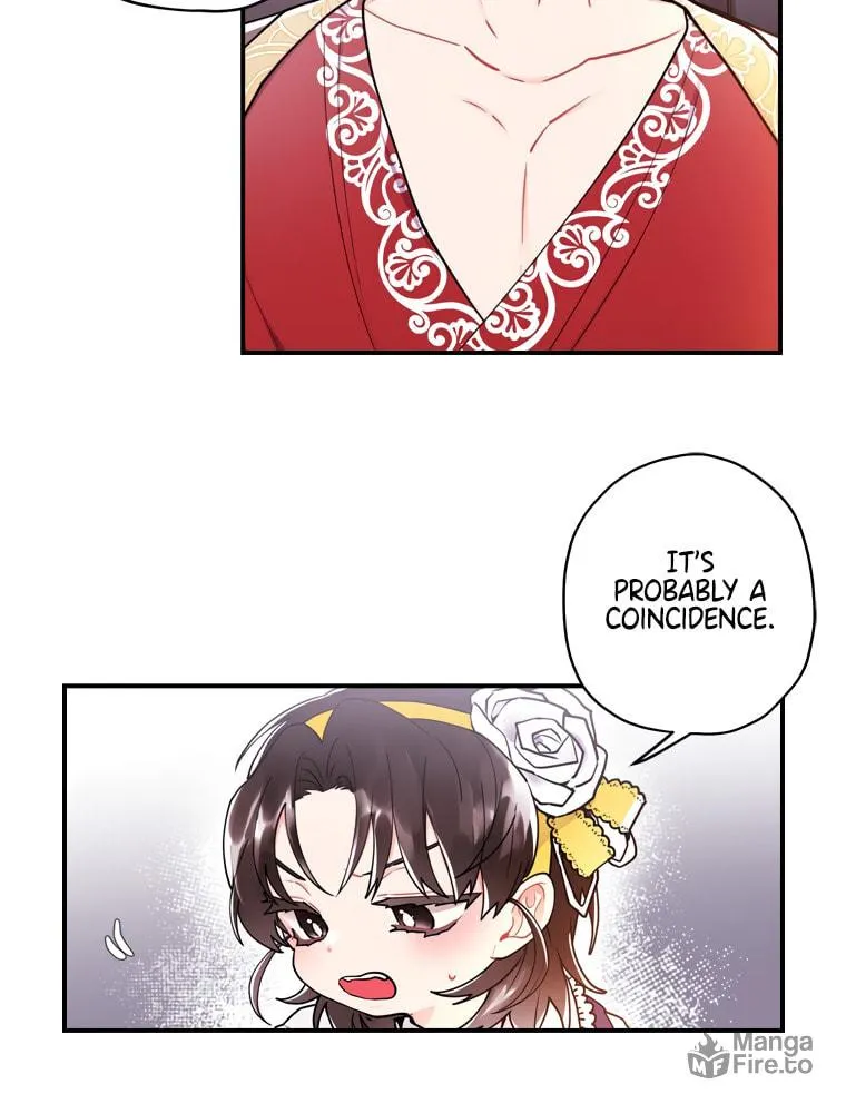The Male Lead