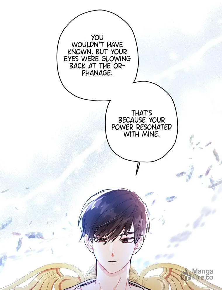 The Male Lead