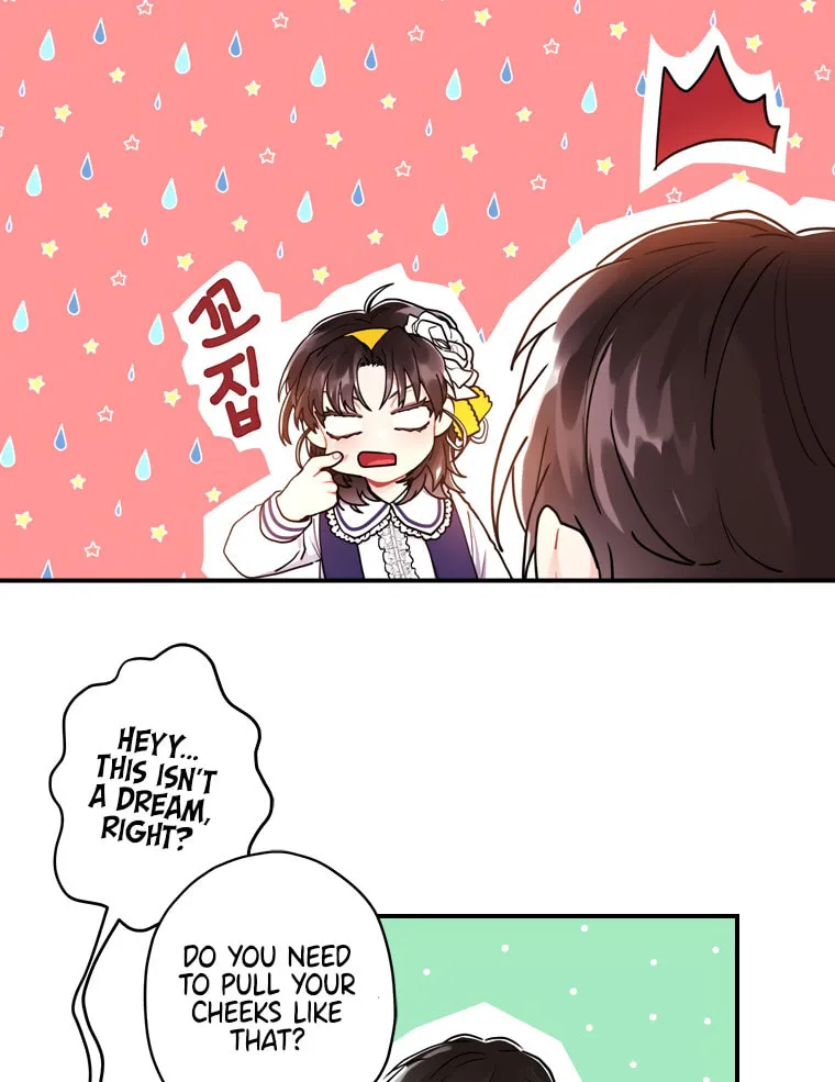 The Male Lead