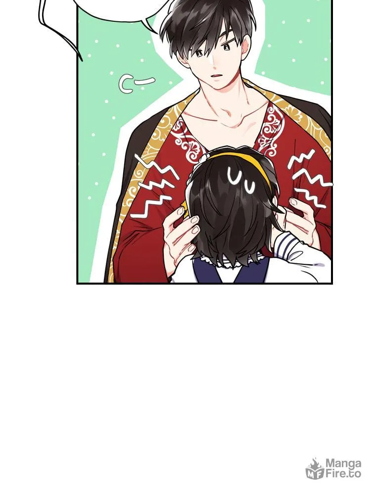 The Male Lead