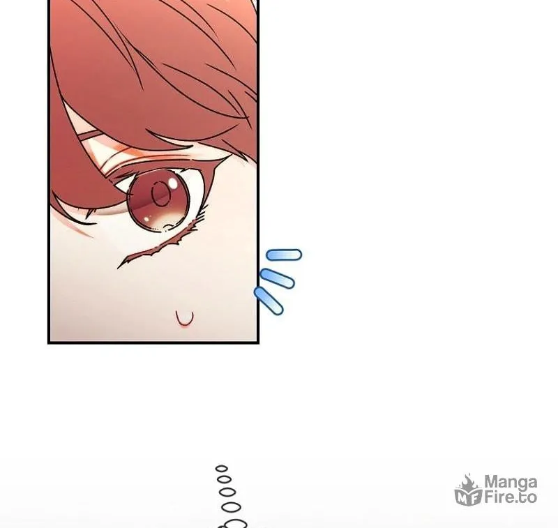 The Male Lead