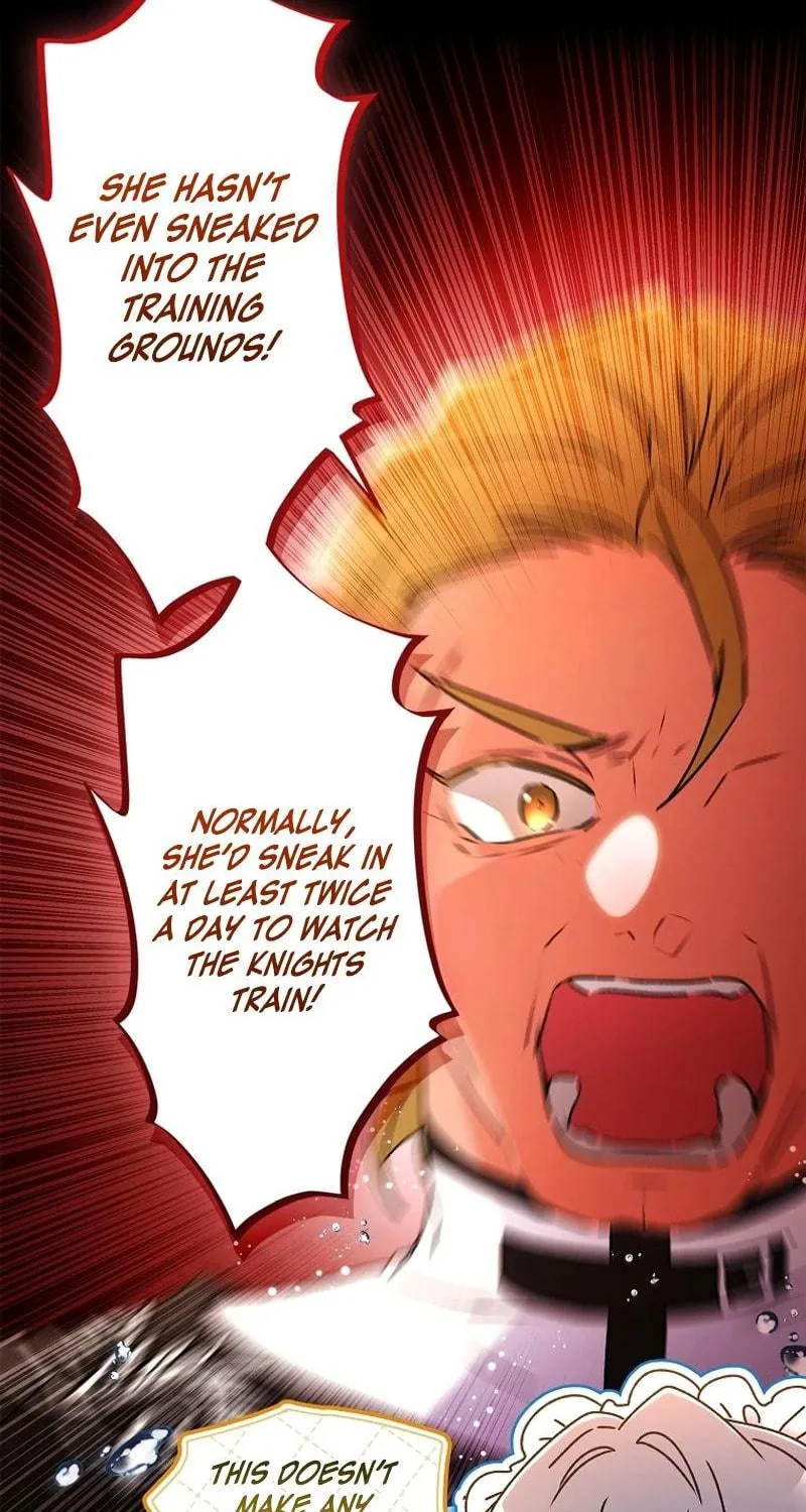 The Male Lead