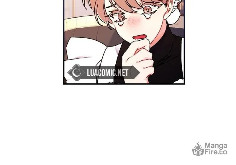 The Male Lead