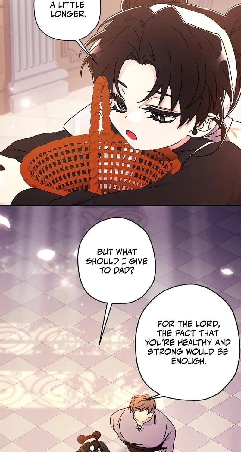 The Male Lead