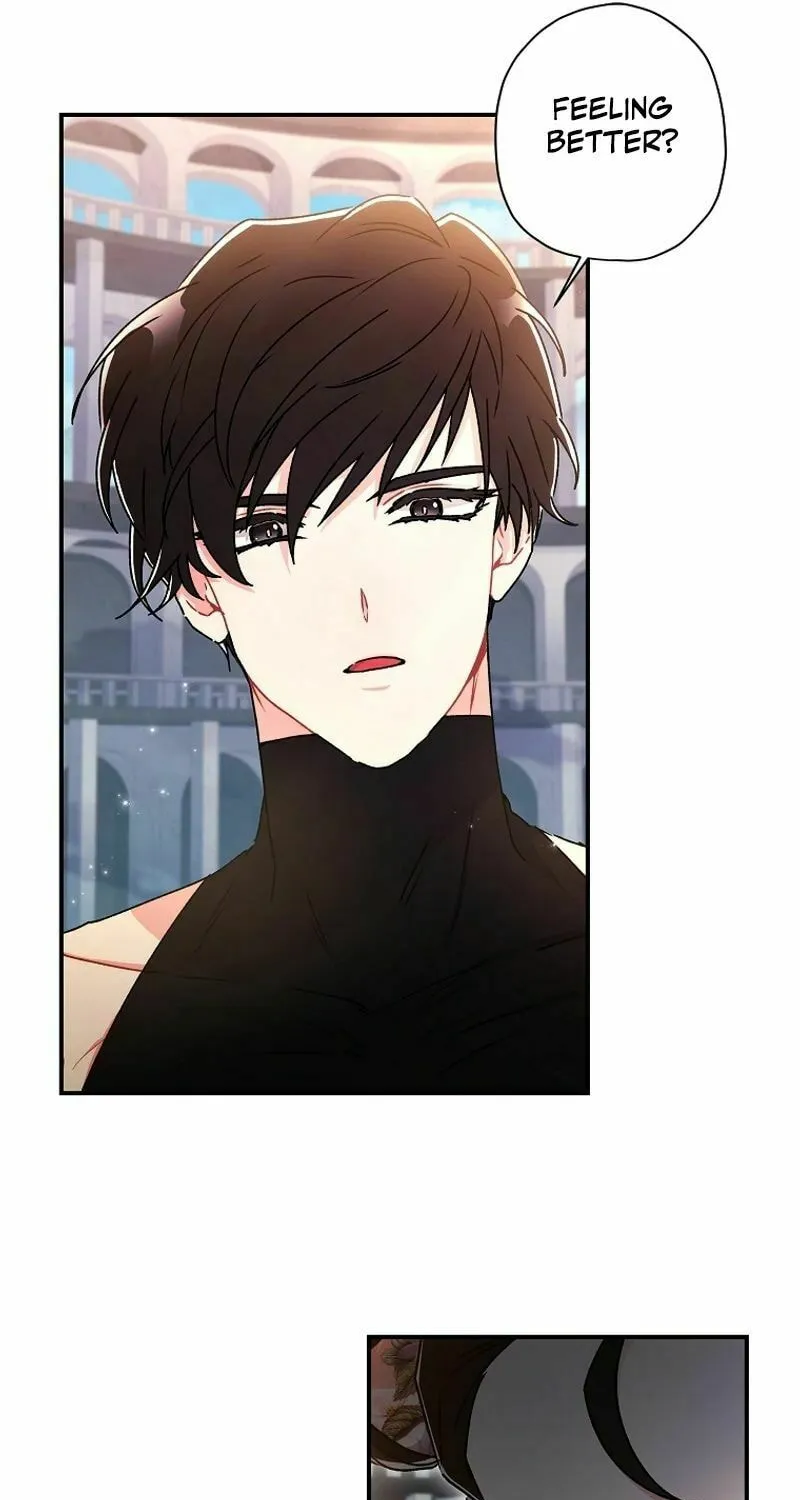 The Male Lead