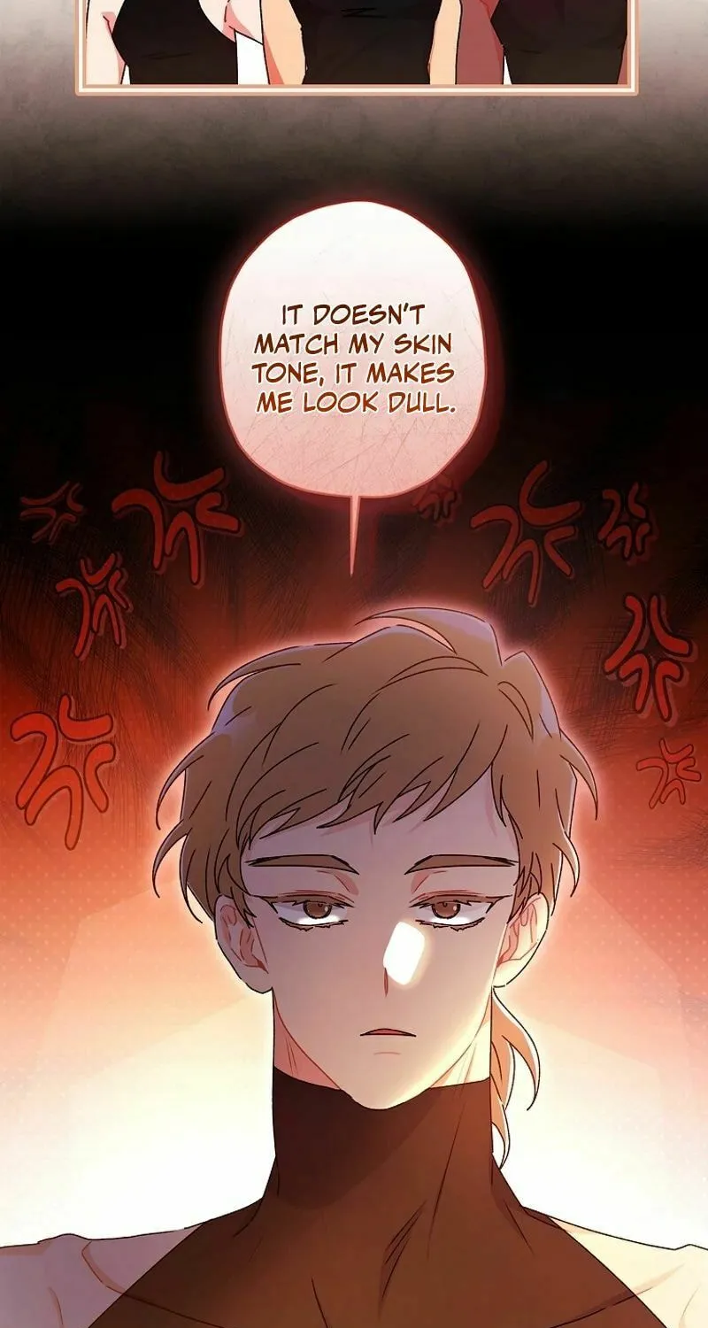The Male Lead