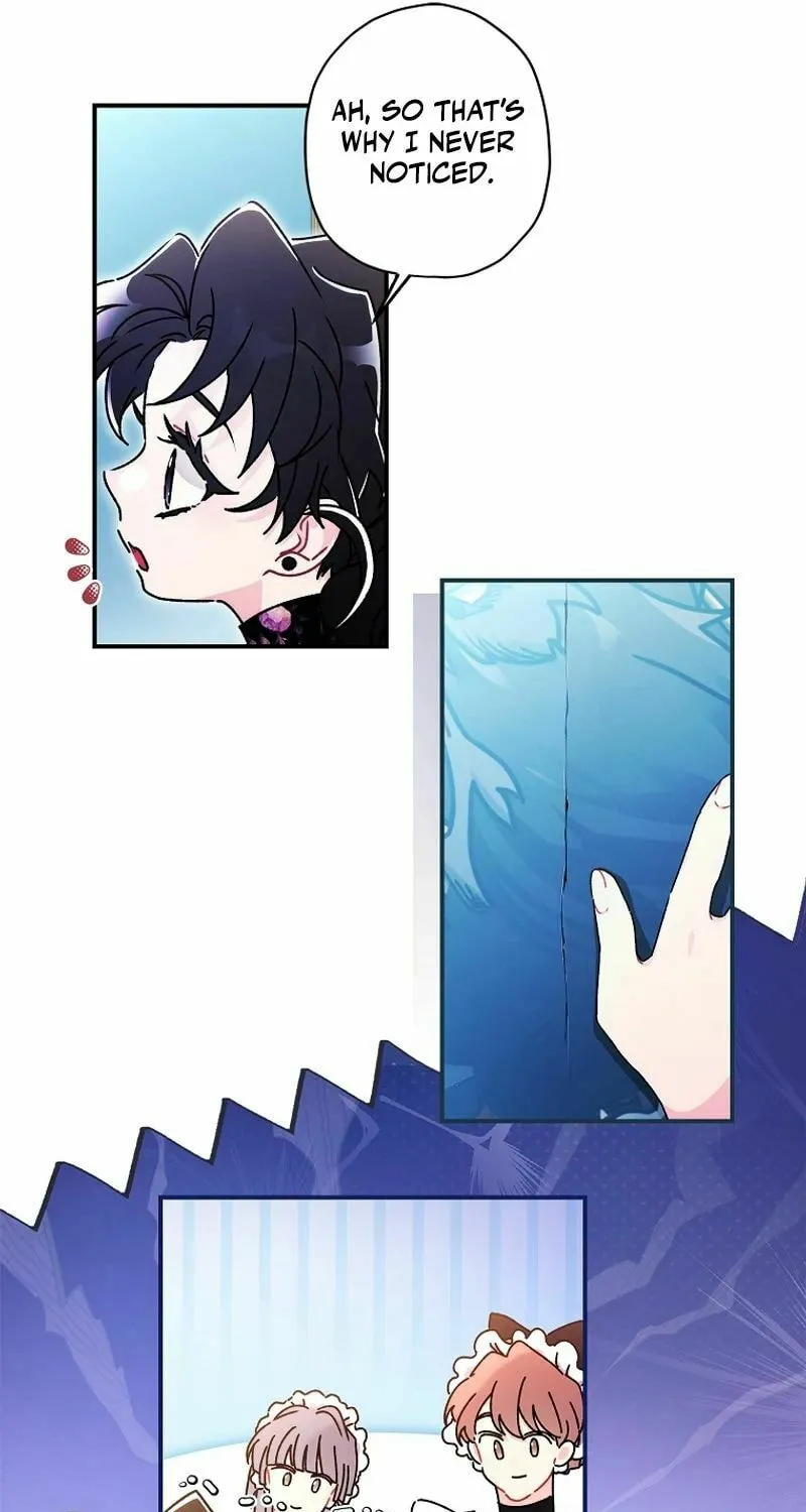 The Male Lead