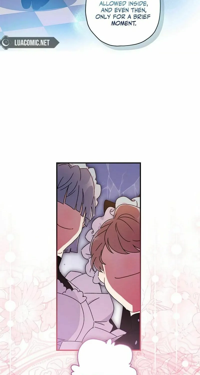The Male Lead