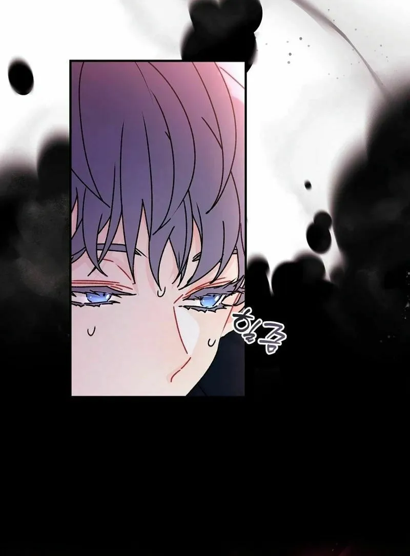 The Male Lead
