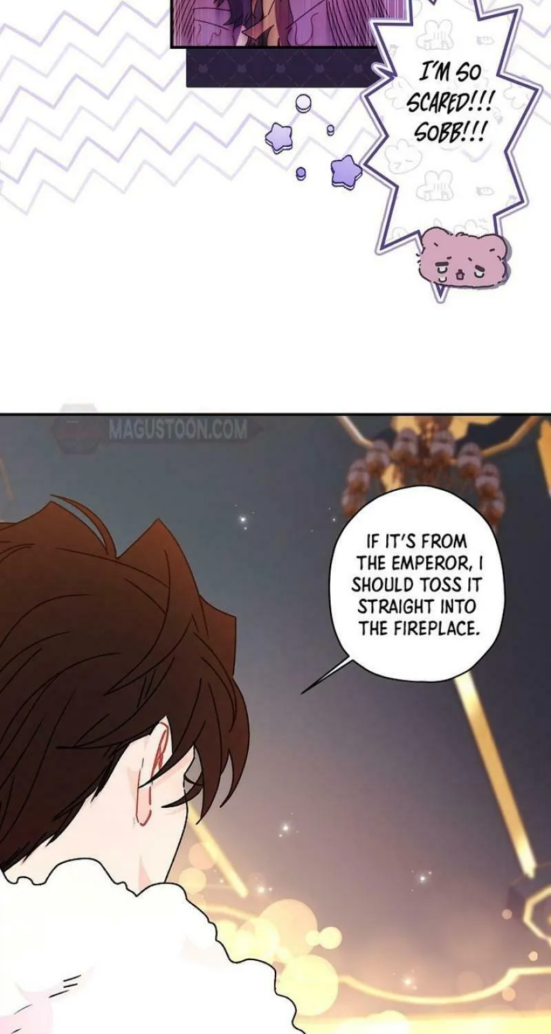 The Male Lead