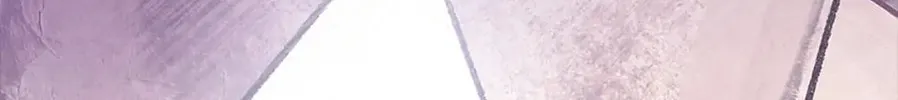 The Male Lead