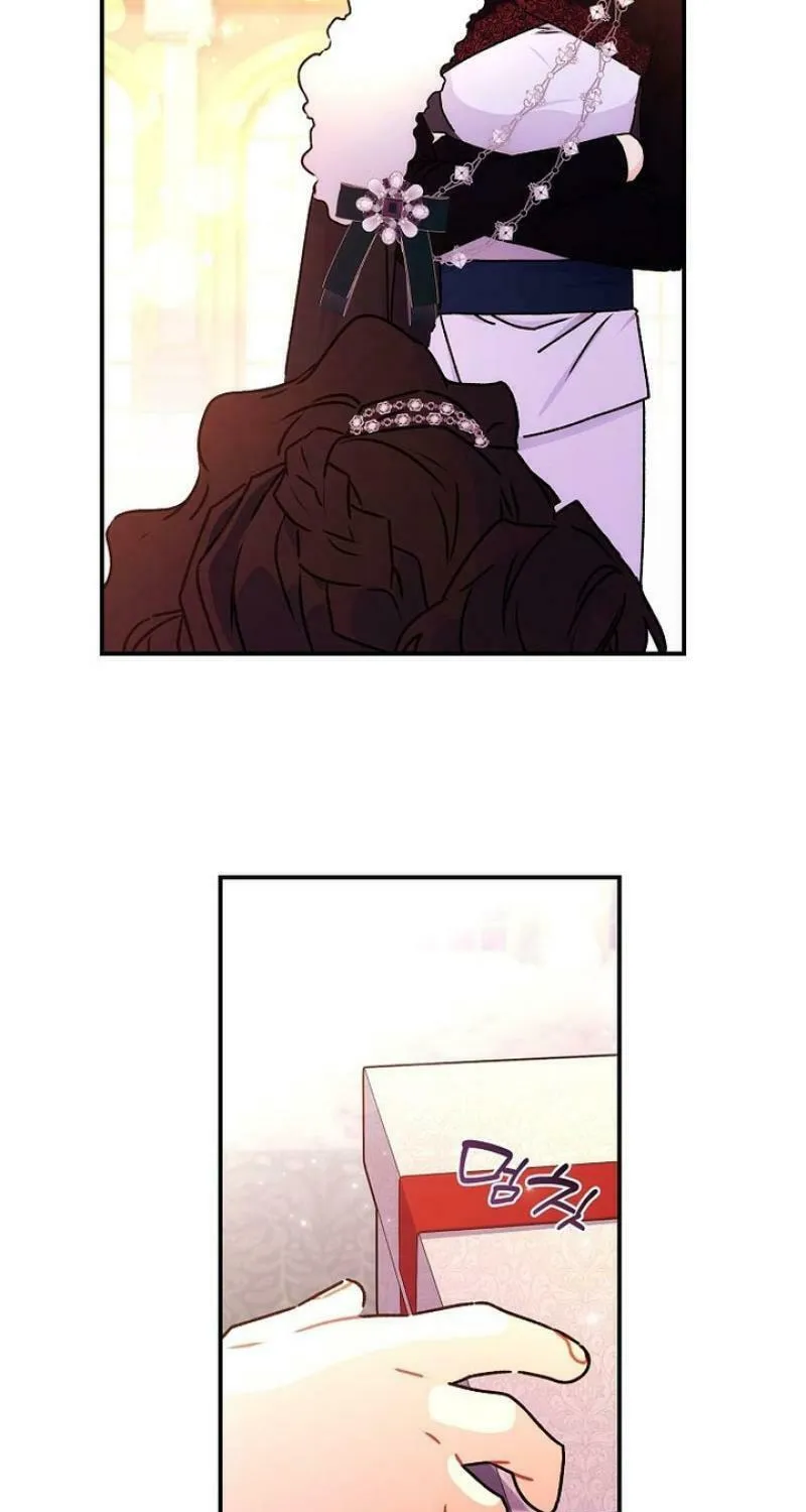 The Male Lead