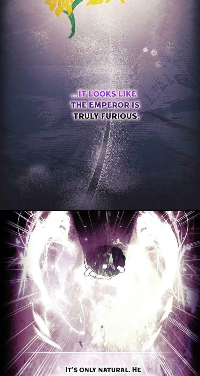 The Male Lead