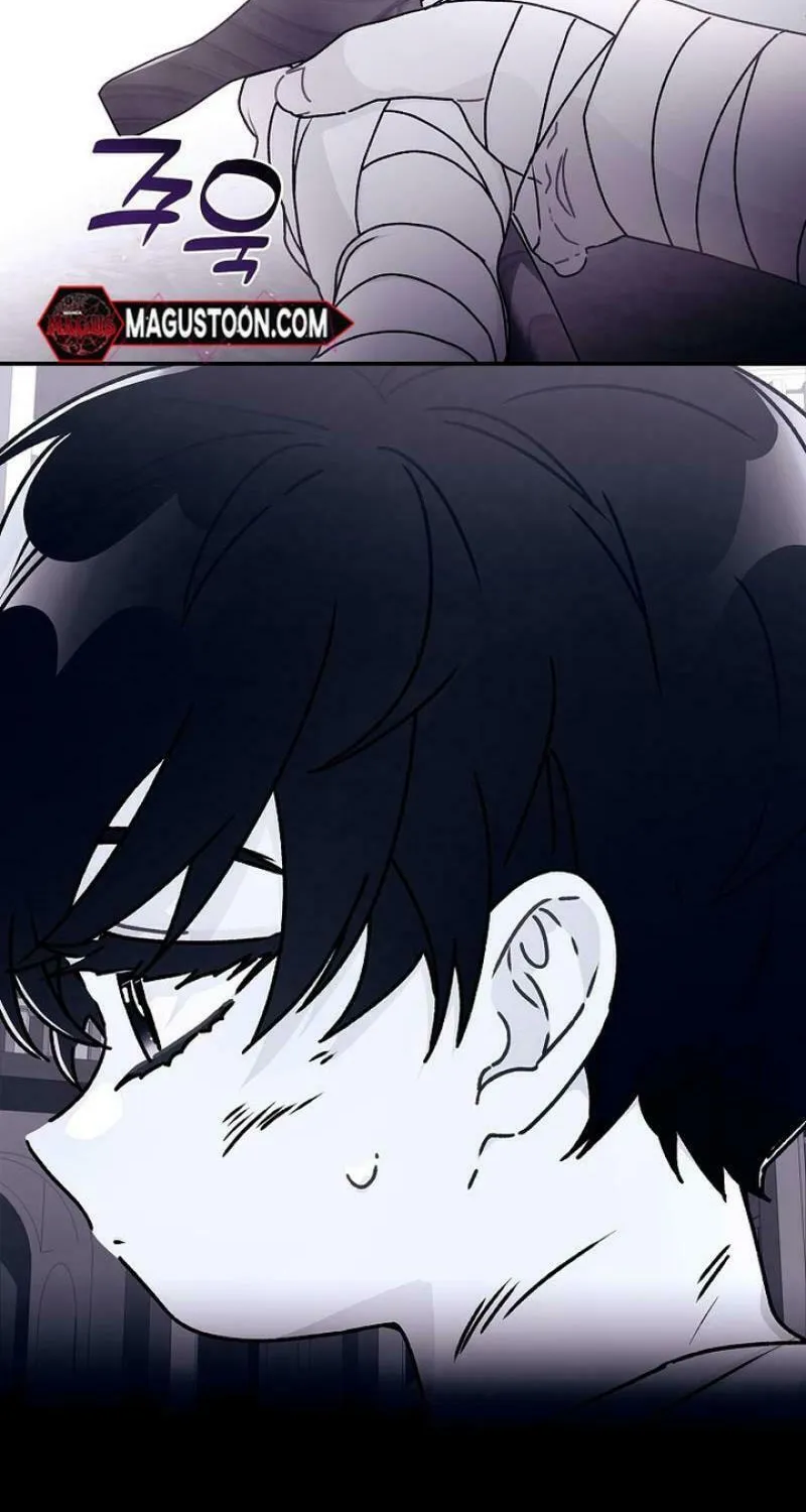The Male Lead
