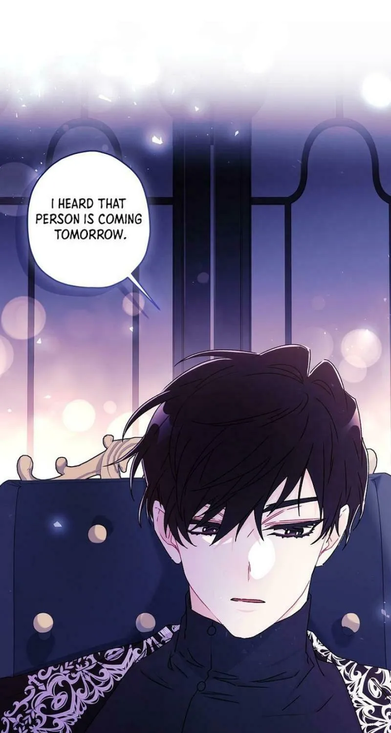The Male Lead