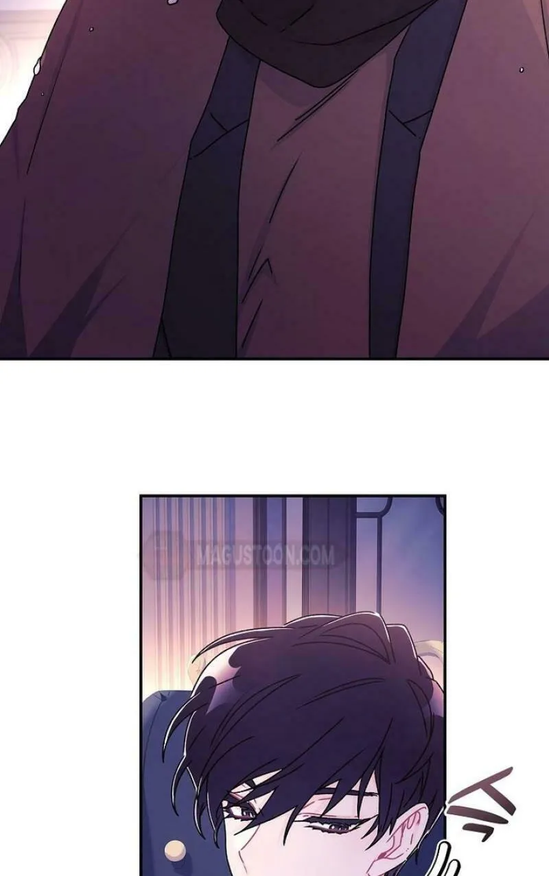 The Male Lead