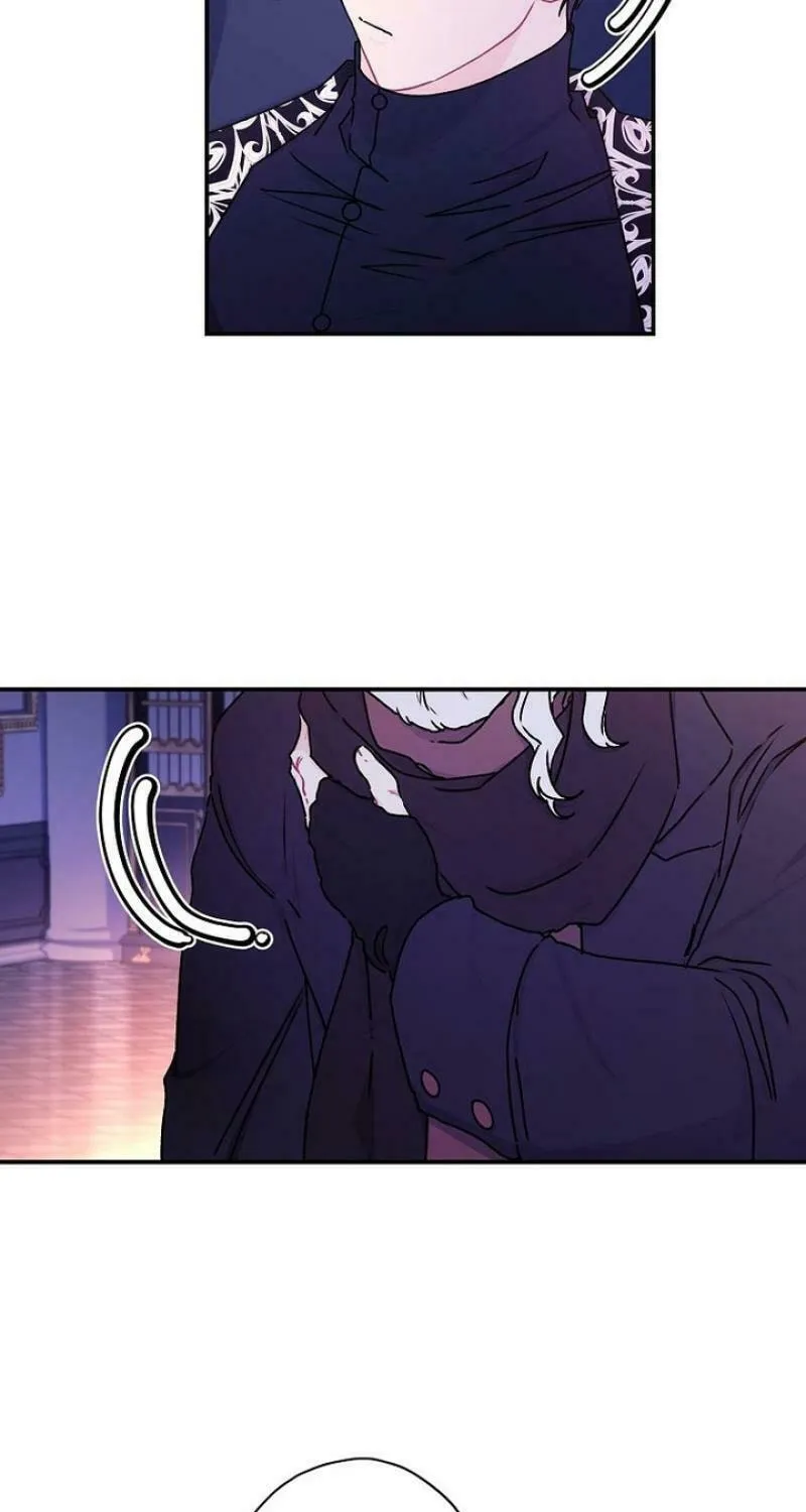 The Male Lead