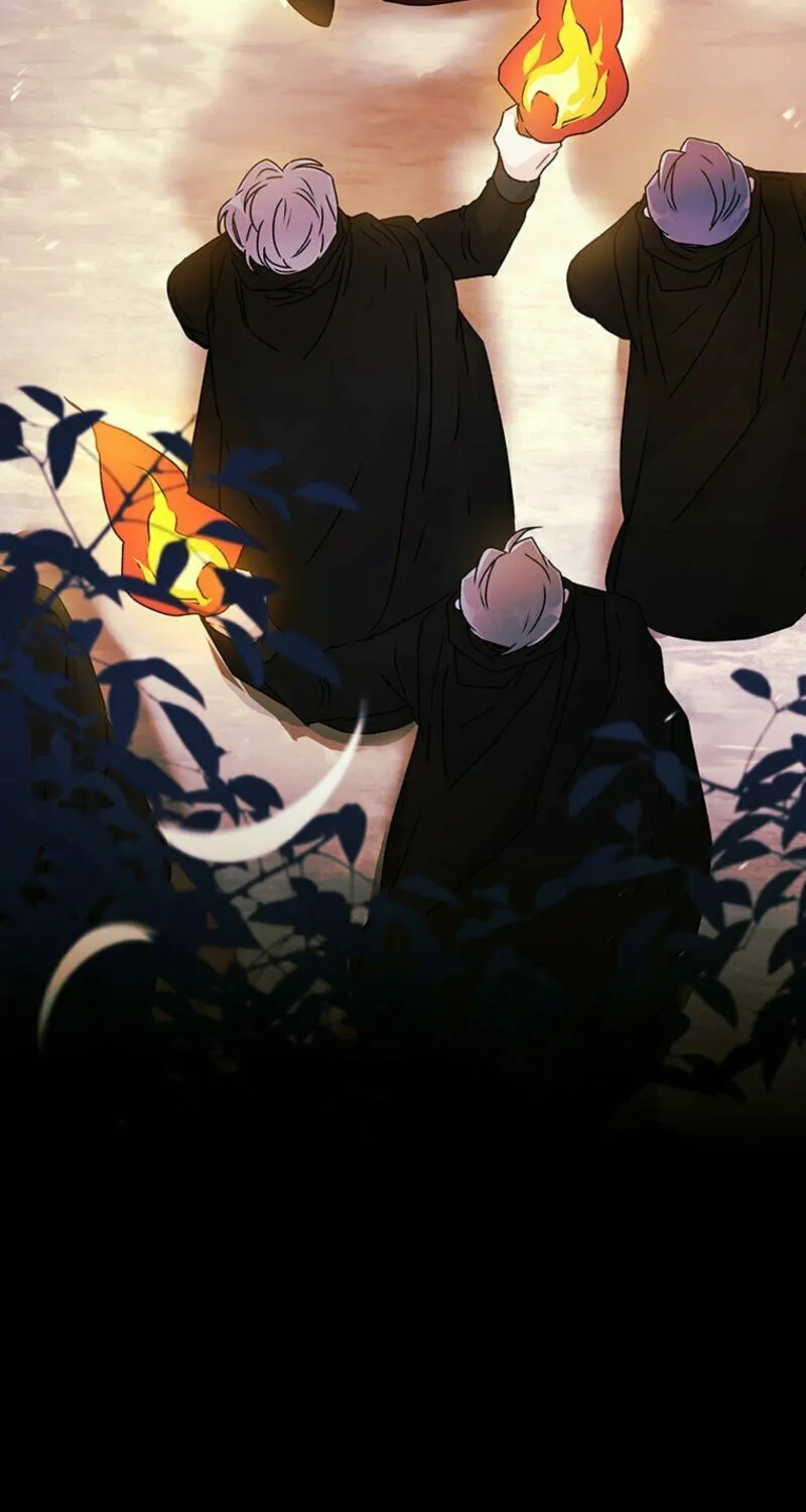 The Male Lead