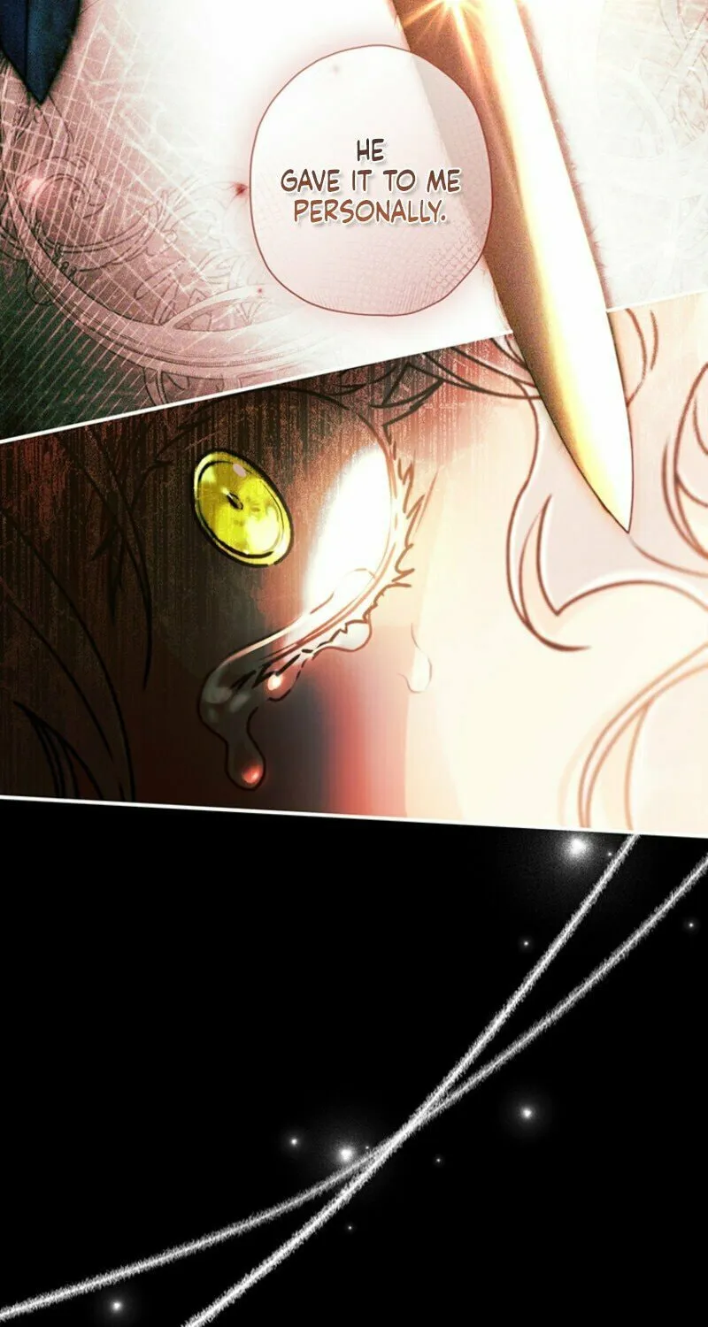 The Male Lead