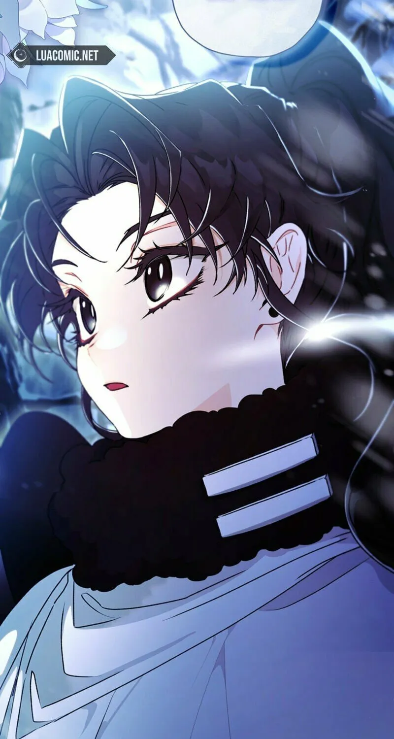 The Male Lead