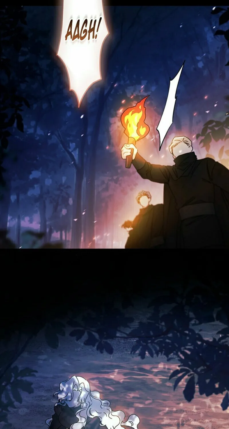 The Male Lead