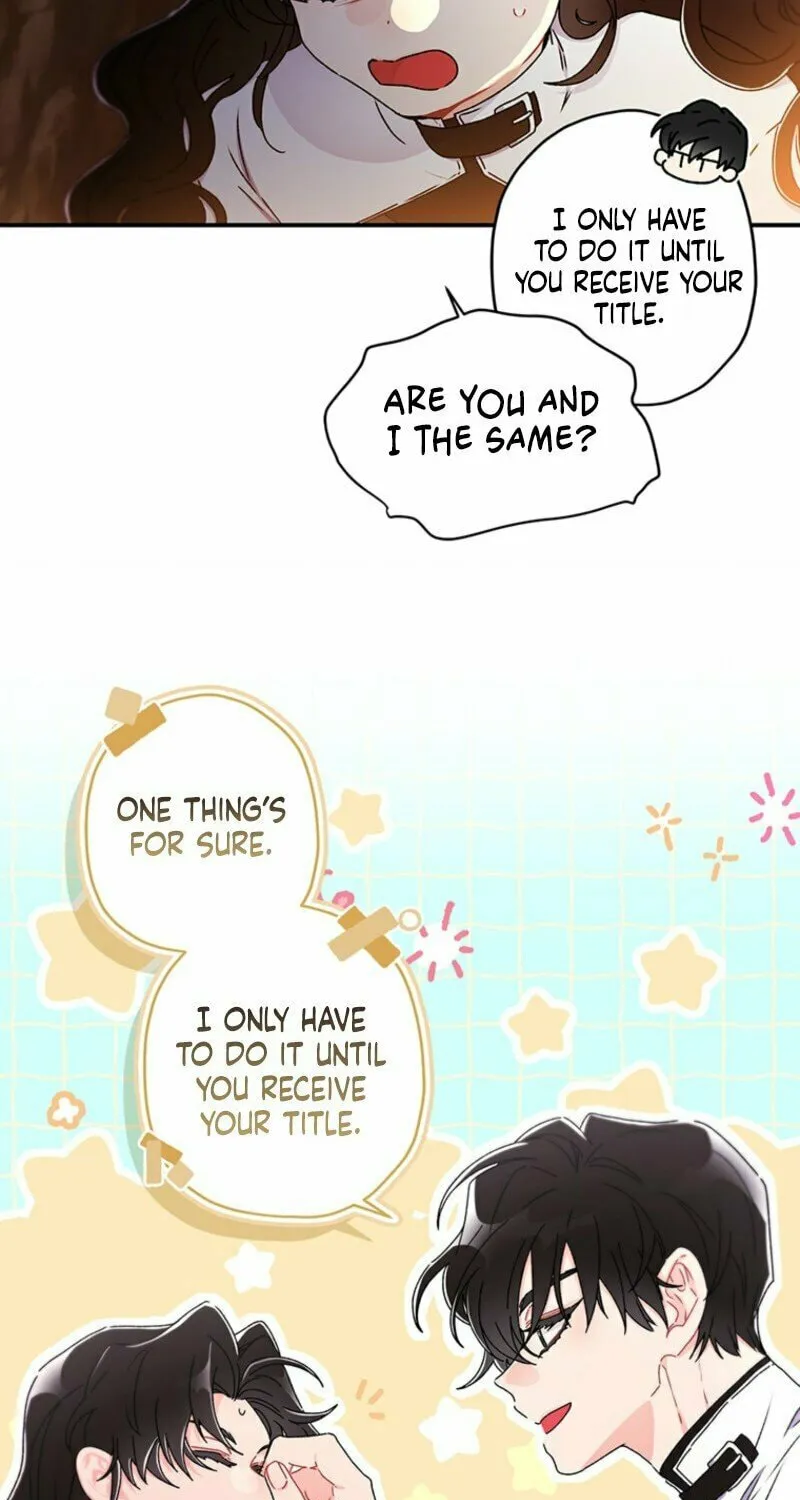 The Male Lead