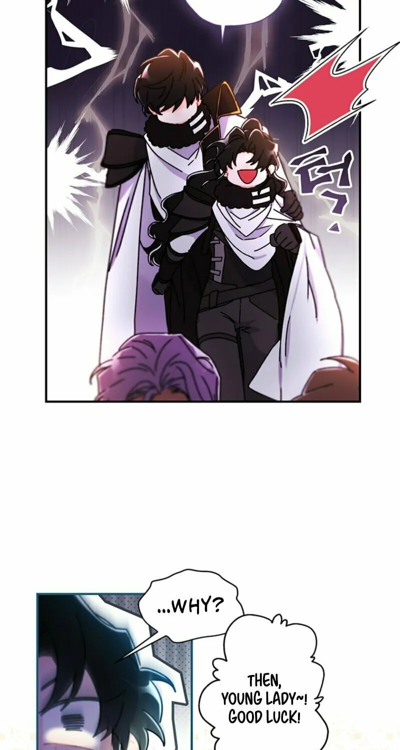 The Male Lead