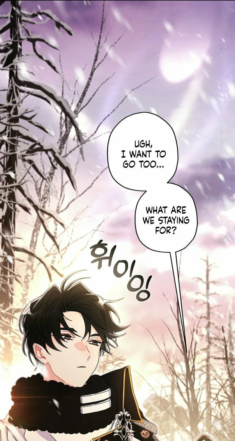 The Male Lead