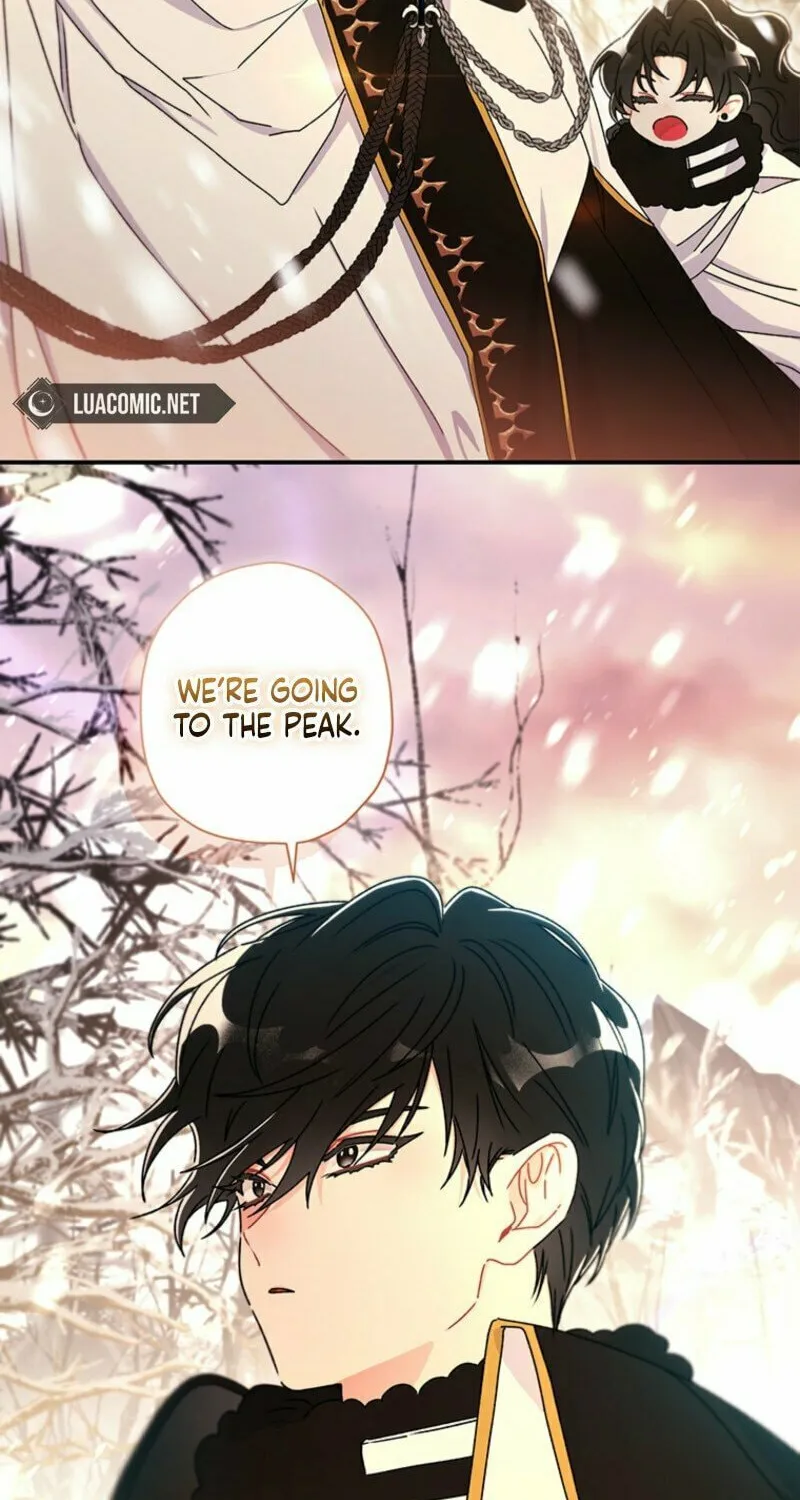 The Male Lead