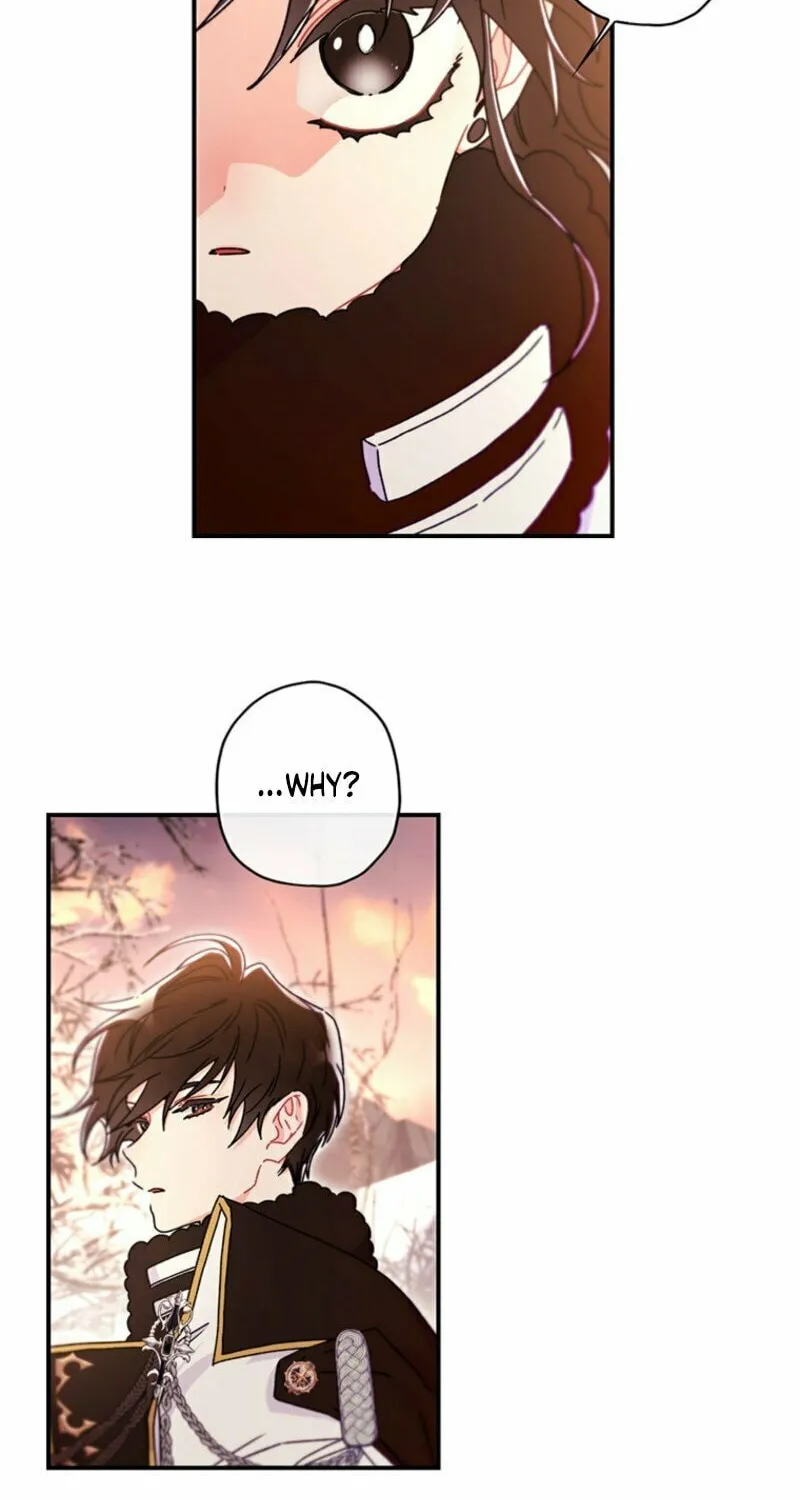 The Male Lead