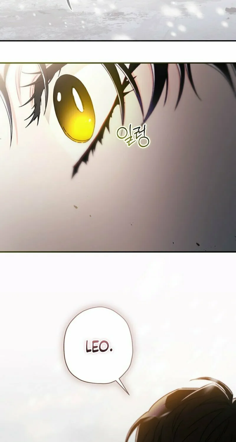 The Male Lead