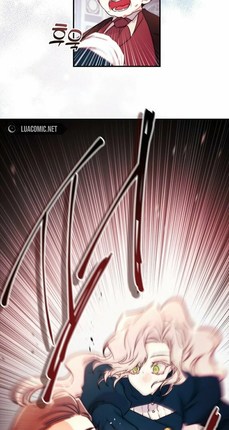 The Male Lead